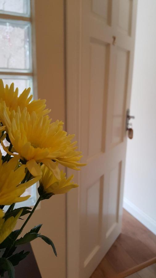 An Charraig Ban On The Wild Atlantic Way F94Wt02 Bed & Breakfast Ardara Exterior photo